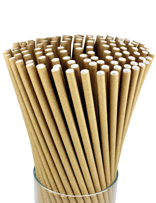 Kağıt Pipet Karamel (50’li)